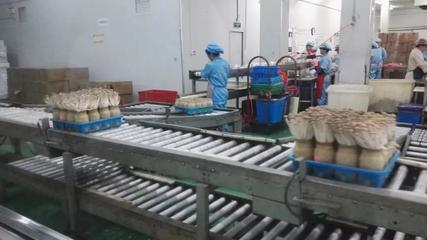市投促局赴上海考察取得積極成果，四項目達成技術咨詢共識